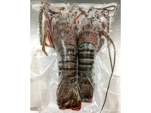 伊勢志摩産 訳あり伊勢海老 500g(2～3尾入り) – 伊勢志摩 山藤