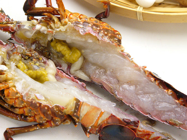 伊勢海老 伊勢志摩産 本場伊勢海老 700g – 伊勢志摩 山藤